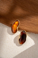 Charger l'image dans la visionneuse de galerie, Boucles d’oreilles Résine doré en acier inoxydable tendance: Brun